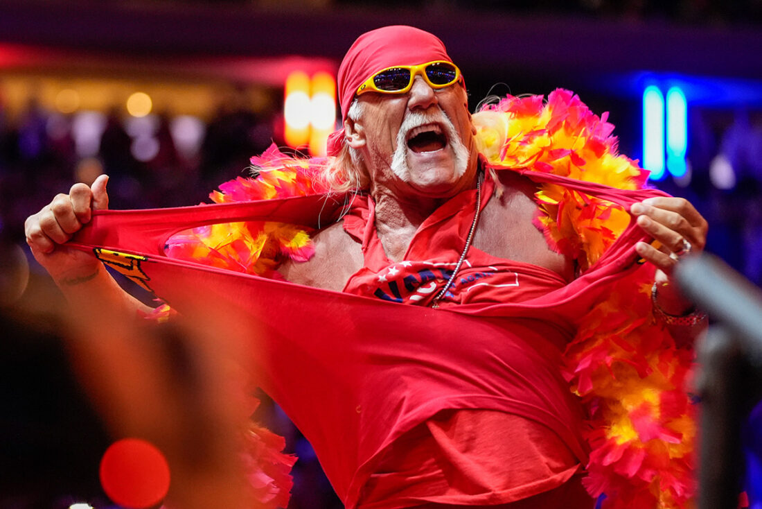 Hulk Hogan, icon in professional wrestling, dies at age 71 | News